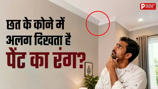 छत का पेंट कुछ दिनों बाद क्यों बदलने लगता है रंग? वजह जानकर नहीं करेंगे ये गलती