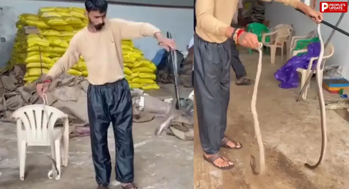 वेयरहाउस में नाग-नागिन का ‘डबल अटैक’, मच गई भगदड़
