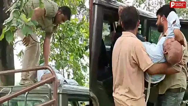 सिंगरौली में पेड़ों की कटाई का विरोध, ग्रामीण ने उठाया आत्मघाती कदम; अस्पताल में भर्ती