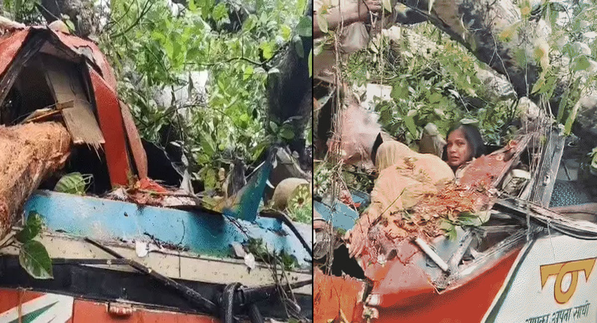 UP के बाराबंकी में रोडवेज बस पर गिरा पेड़, 5 की मौत, एक घायल