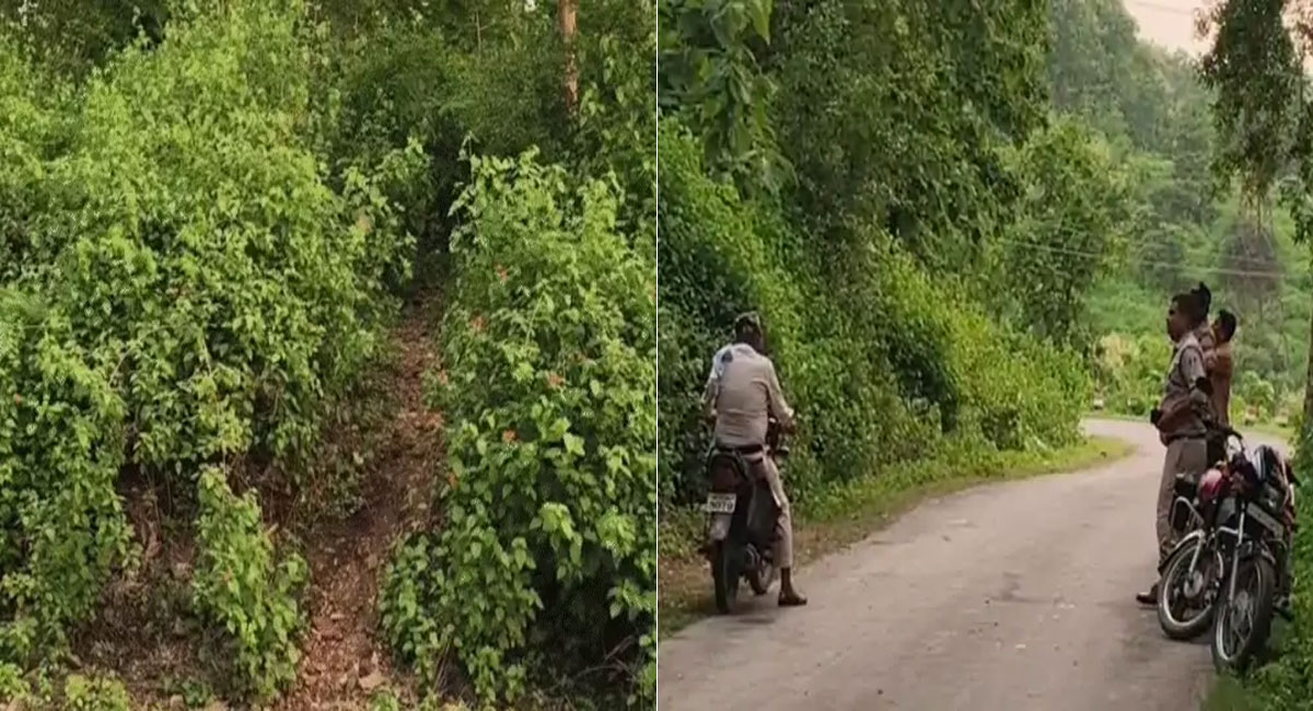 सीधी में दलित युवती से गैंगरेप : जंगल में प्रेमी के साथ गई थी घूमने, तीन आरोपी गिरफ्तार, एक फरार