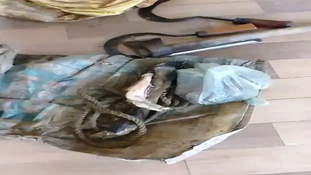 वन विभाग ने की कार्रवाई, मांस के साथ आरोपी गिरफ्तार