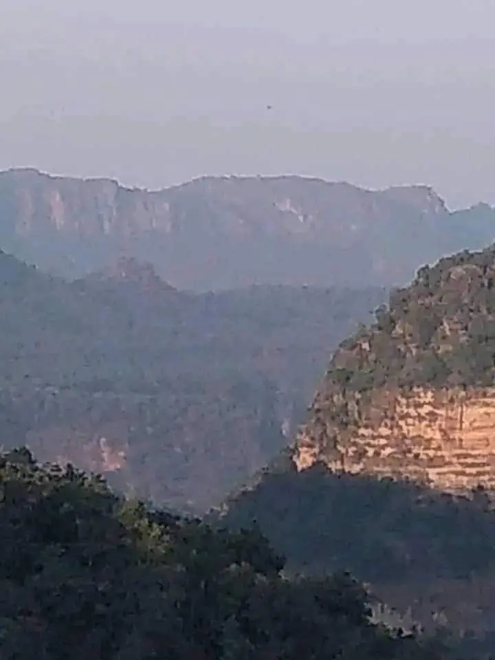 एसटीआर ने जारी की एडवाइजरी, लोगों से सुरक्षा नियमों का पालन करने की अपील