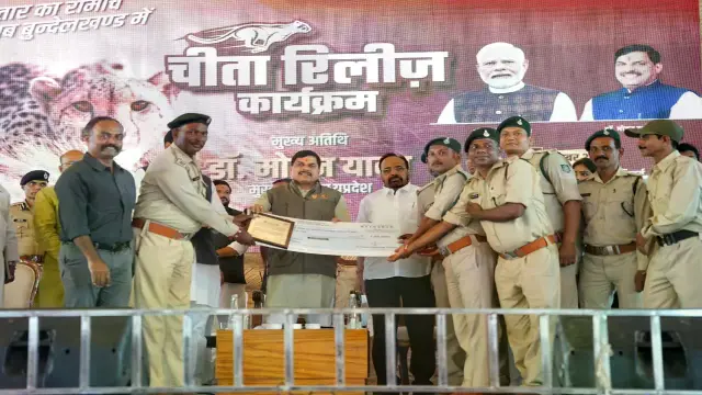 सतपुड़ा टाइगर रिजर्व के वनकर्मियों को सम्मान, गौर विस्थापन में उत्कृष्ट कार्य के लिए मिला पुरस्कार