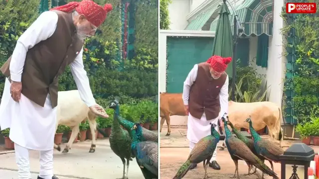 सुबह-सुबह अपने 'दोस्तों' से मिलने पहुंचे PM मोदी, देखें VIDEO