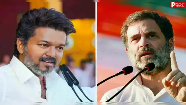 'तमिलनाडु CM विजय ने राहुल गांधी को PM कैंडिडेट चुना', कांग्रेस नेता के दावे से सियासी हलचल तेज