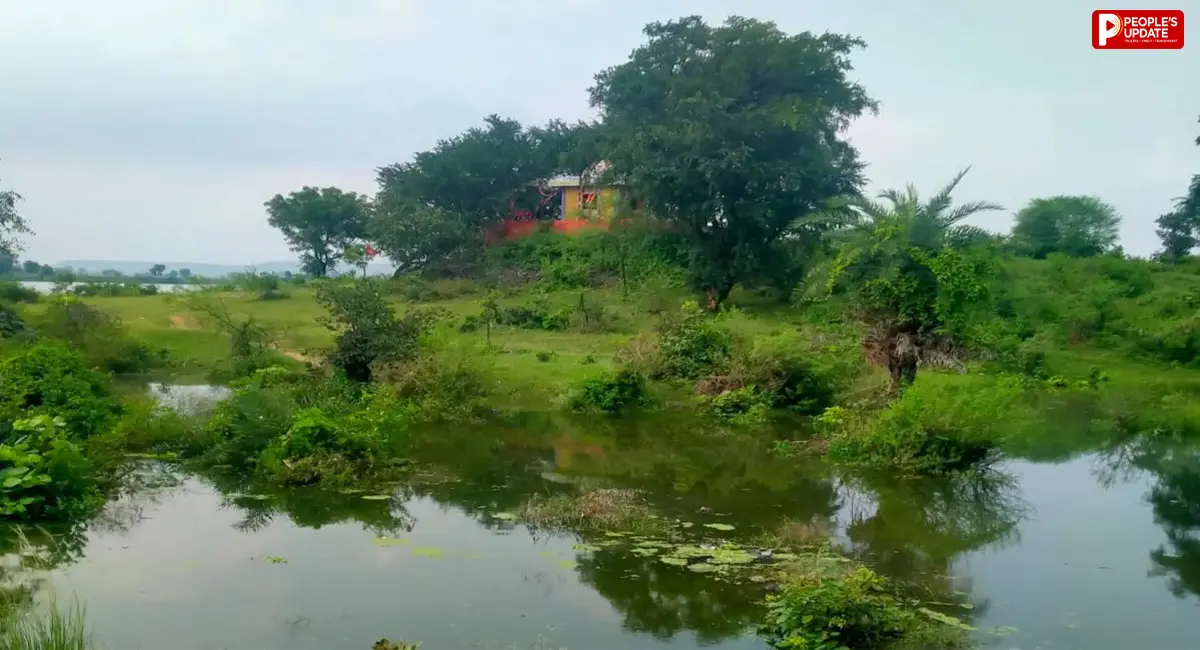 सीहोर के पार्वती डैम में पानी रोका, तो डूब गया 100 साल पुराने मंदिर का रास्ता, थमी पूजा-अर्चना