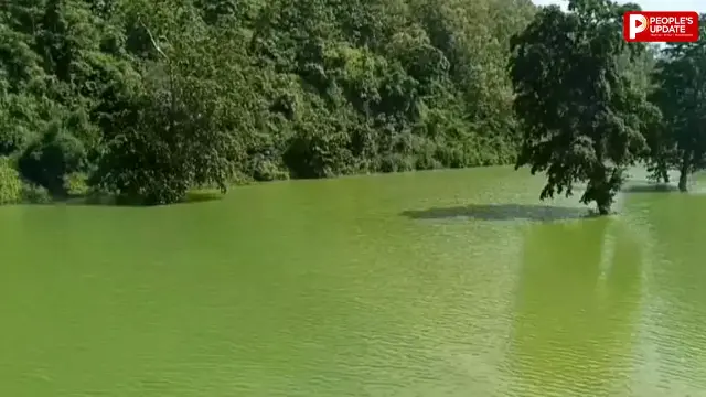 पानी और पहाड़ों का रंग हुआ एक! मानसून के बाद बदली कुदरत की तस्वीर, देखें सिवनी के बरगी बांध का अद्भुत नजारा