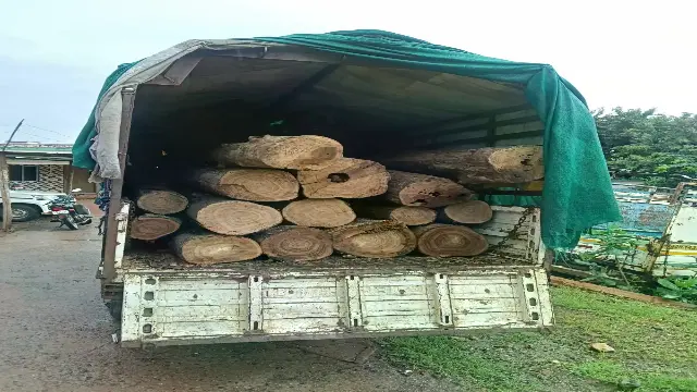अवैध सागौन से भरी बोलेरो पिकअप जब्त, वाहन चालक फरार