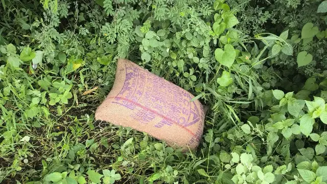 सीहोर में जमोनिया-रायपुरा रोड पर गेहूं की संदिग्ध खेप पकड़ी; तीन ट्रक जब्त, जांच से खुलेगा पूरा राज