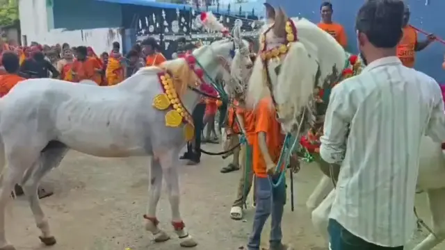 बाबरी से रमगड़ा तक गूंजे हर-हर महादेव के जयकारे, डीजे की धुन पर घोड़े के नृत्य ने मोहा श्रद्धालुओं का मन