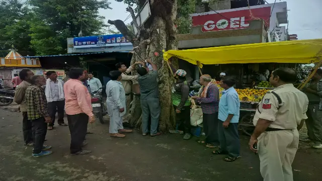 बाड़ी पुलिस ने चलाया नशा मुक्ति जनजागरूकता अभियान, बस-ऑटो में लगाए जागरूकता पोस्टर
