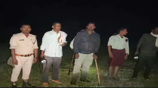 उमरिया के पठारी गांव में 15 हाथियों ने रौंदी किसानों की तीन एकड़ फसल, फॉरेस्ट टीम ने 4 घंटे में  जंगल की तरफ खदेड़ा