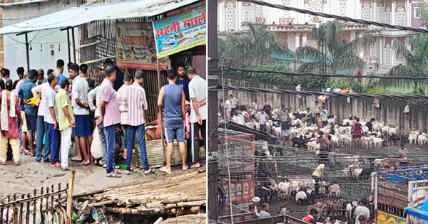 सावन खत्म होते ही बिहार में एक दिन में 130 करोड़ का मटन-चिकन बिका, कीमतों में हुई बढ़ोतरी