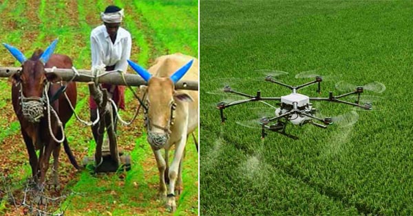 बैलों से ड्रोन तक...नवाचार से ऐसे धीरे-धीरे बदली खेती की तस्वीर