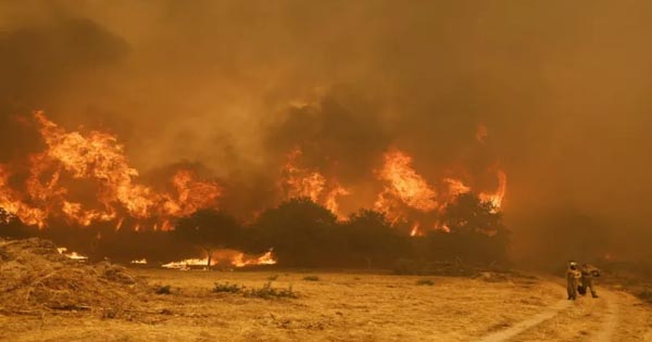 स्पेन और पुर्तगाल के जंगलों में लगी भीषण आग, हजारों लोग बेघर, 44 डिग्री के ऊपर पहुंचा तापमान