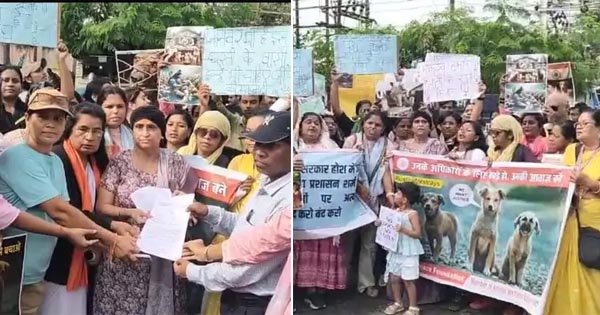 जबलपुर: सुप्रीम कोर्ट के फैसले पर पीपल पीस फाउंडेशन का विरोध प्रदर्शन, कहा- जानवरों की आजादी छीनी जा रही, क्योंकि वे वोट नहीं देते..