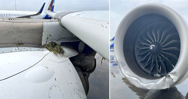 मुंबई एयरपोर्ट पर बड़ा हादसा टला, बारिश में रनवे पर फिसला कोच्चि से आया Air India का प्लेन, सभी यात्री सुरक्षित