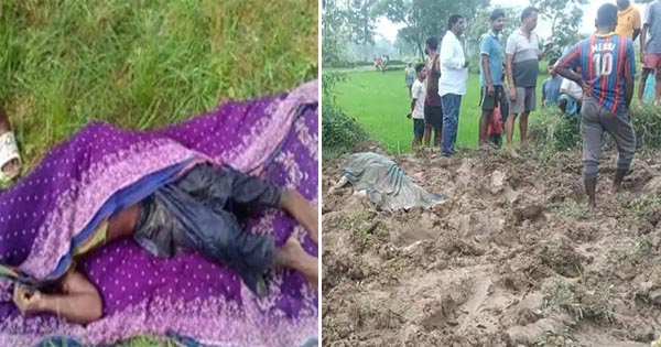 सरगुजा में हाथियों का कहर, हमलों में 4 की मौत, खेत से लौट रहे पिता-बेटी को कुचलकर मारा