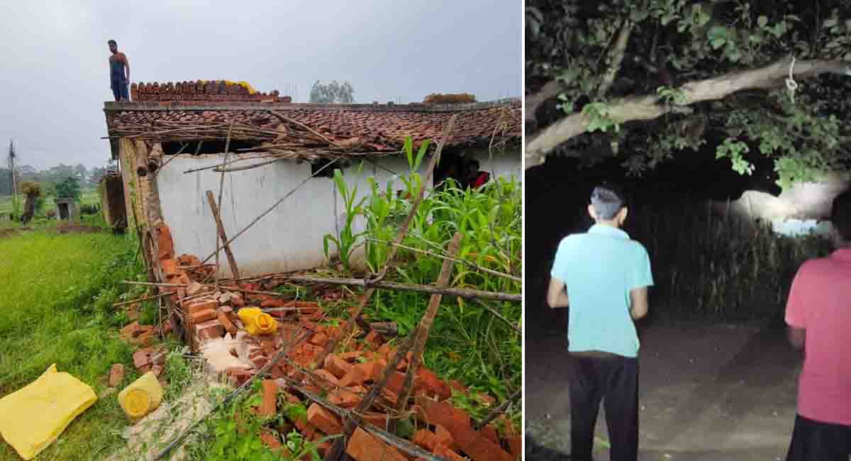 उमरिया के बमेरा गांव में हाथियों का आतंक, घरों को किया क्षतिग्रस्त, ग्रामीणों में दहशत