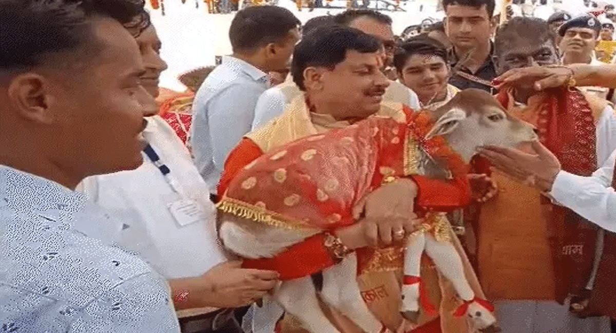  जन्माष्टमी पर सीएम डॉ. मोहन यादव ने बछड़े को गोद में उठाकर दुलारा, भोपाल-ग्वालियर-इंदौर में ये है भव्य आयोजन