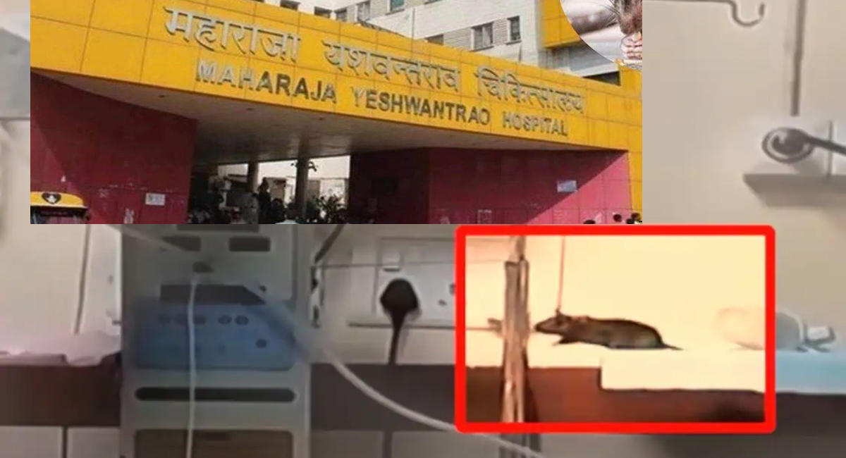 चूहों के काटने से नहीं हुई नवजातों की मौत- यह कैसा बेतुका जवाब किया पेश?