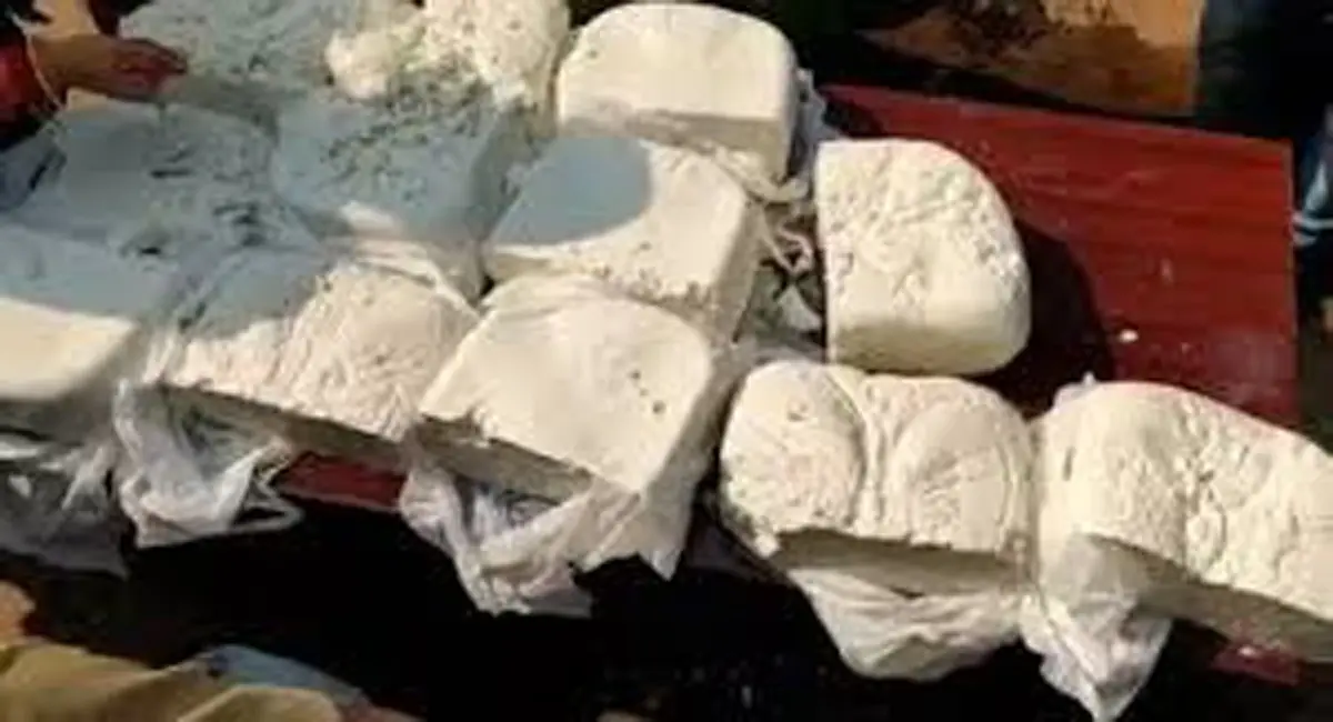 नकली पनीर के मामलों में एमपी देश में चौथे स्थान पर.. 20 प्रतिशत सैंपल फेल 
