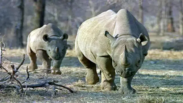अगले छह माह में पर्यटकों को मिलेंगी कई नई सौगात