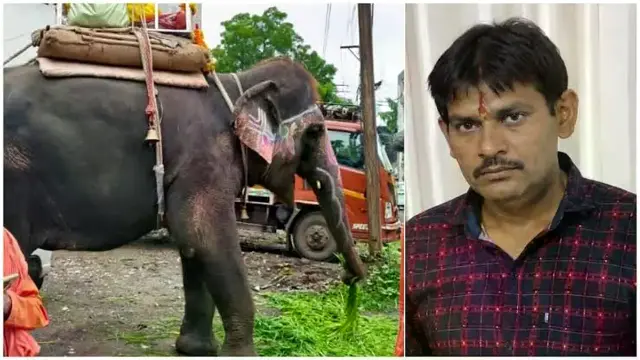 कुचलने वाले हाथी को सशर्त जमानत, कोर्ट के फैसले तक इंदौर छोड़ने पर रोक