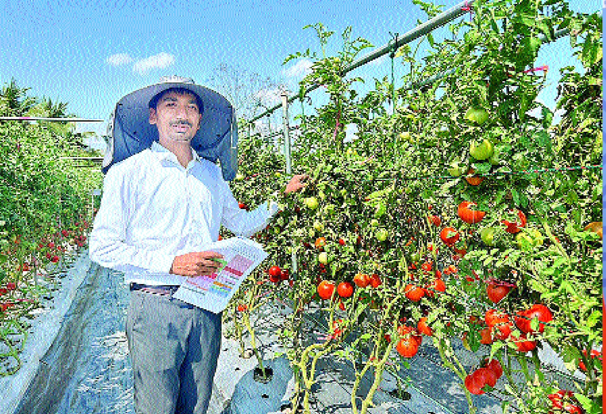 पहले नौकरी कर सीखी बीज उत्पादन की बारीकियां, 2024 में शुरू किया स्टार्टअप जो बढ़ा रहा किसानों की आय