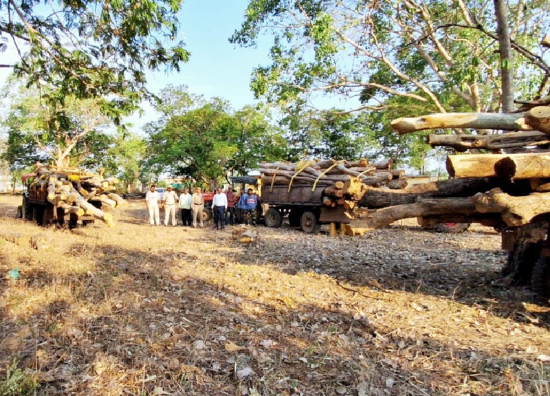 लकड़ी, बांस और वनोपज परिवहन से जुड़ी गड़बड़ियां रोकने के लिए वन विभाग जारी करेगा ऑनलाइन ट्रांजैक्शन पास