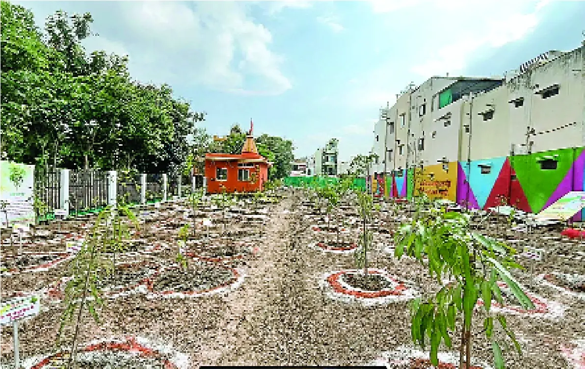 इंदौर शहर में तैयार किया जा रहा एक ऐसा बगीचा, जिसमें मिलेगी सिर्फ पक्षियों को एंट्री