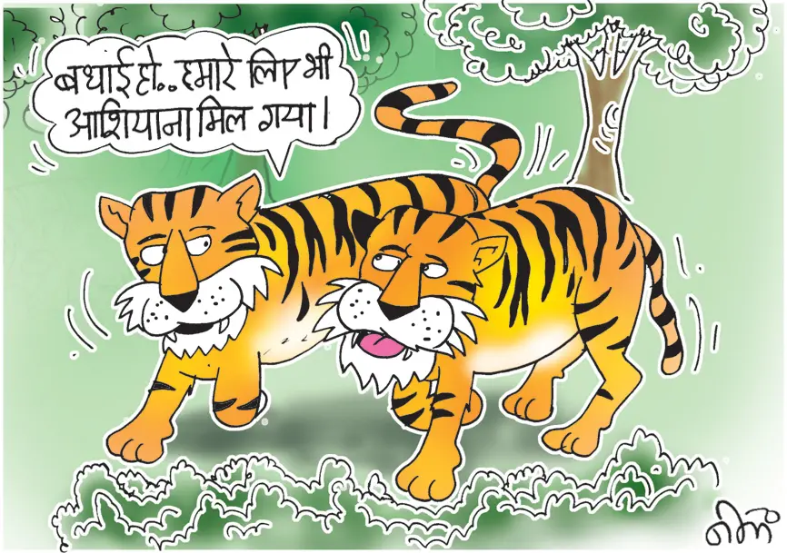 अंबानी के वनतारा की तर्ज पर जबलपुर में जू, रेस्क्यू सेंटर और सफारी का काम शुरू