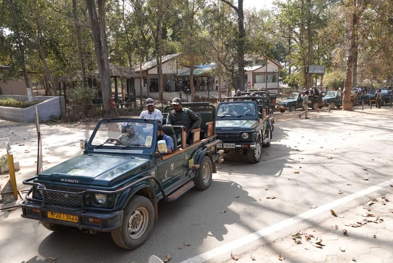 नए साल का जश्न मनाने के लिए अभी से नेशनल पार्कों की सफारी फुल