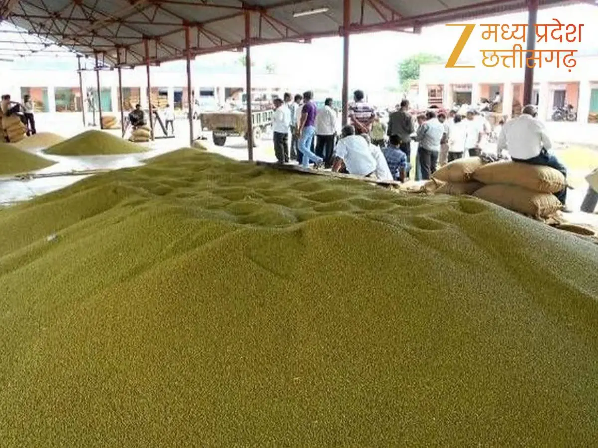 प्रदेश के कई गोदामों में 3 साल से डंप है 9.37 लाख मीट्रिक टन मूंग