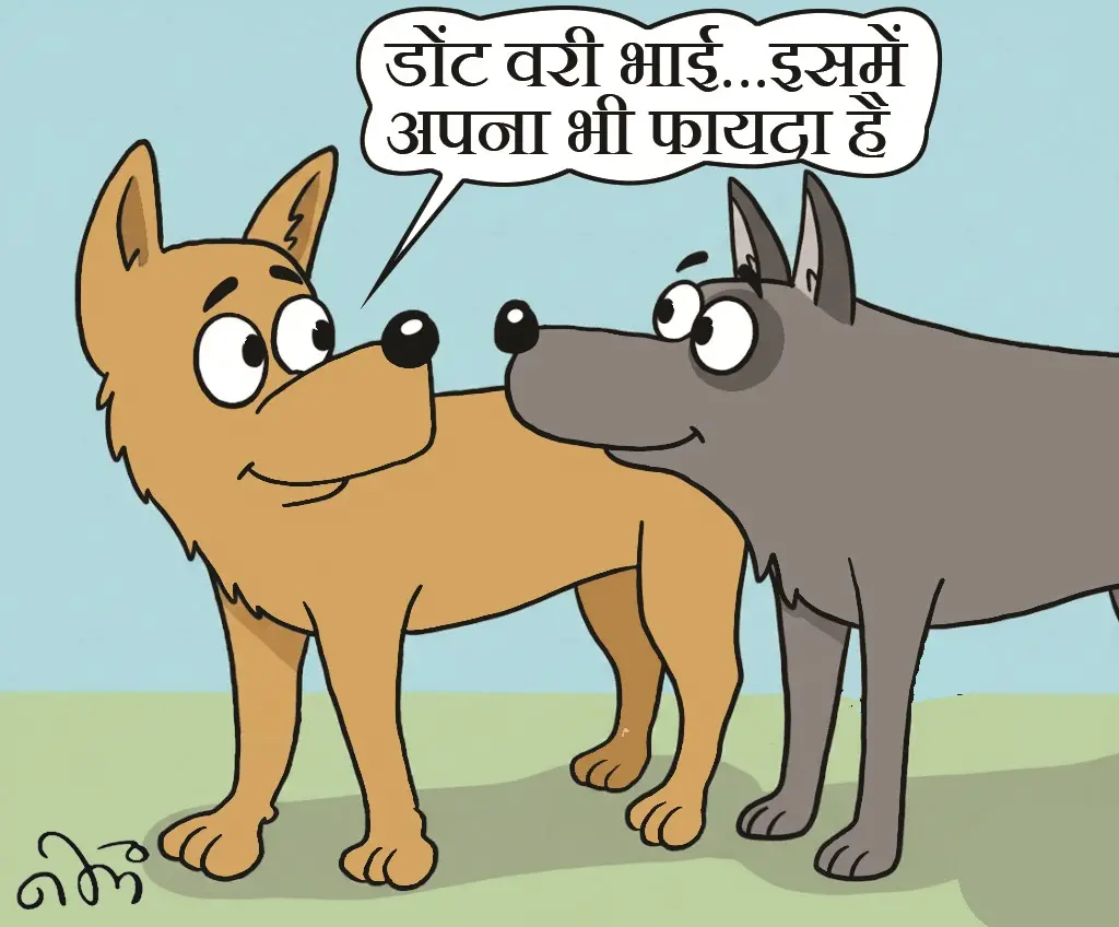 बाघों को डॉग्स के वायरस से बचाने CDV के अलावा 7 और वैक्सीन लगेंगे