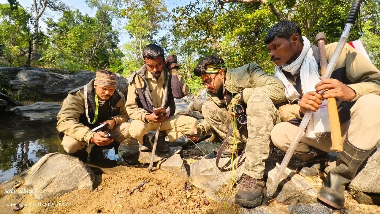 प्रदेश के सभी टाइगर रिजर्व में शुरू हुई बाघों की गिनती, सात दिन चलेगी