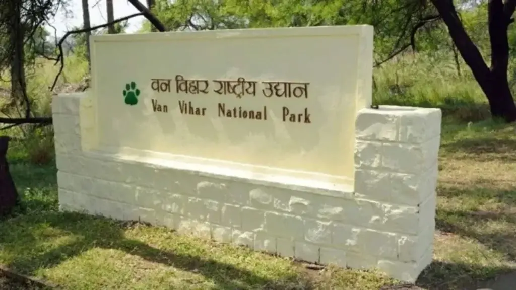 रायसेन के जंगल से रेस्क्यू घायल टाइगर की वन विहार में मौत