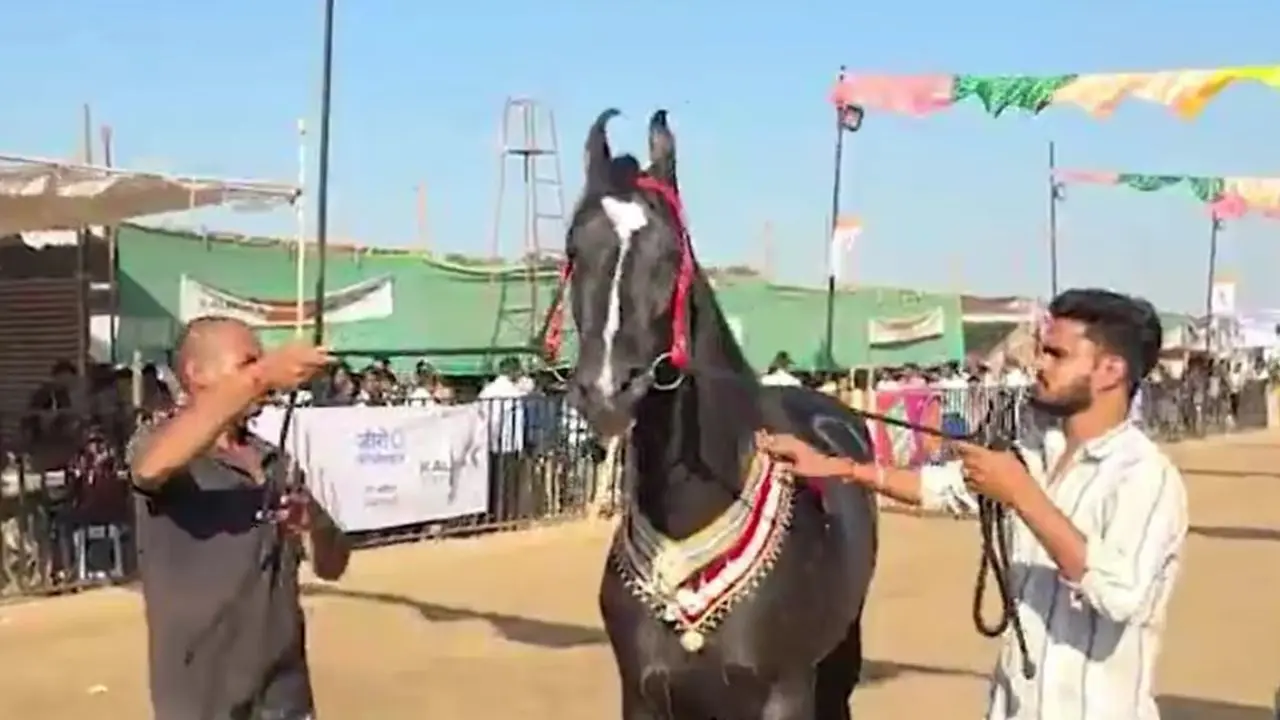 महाराष्ट्र में 15 करोड़ रुपए में बिक रहा 'ब्रह्मोस', रोज होती है मसाज