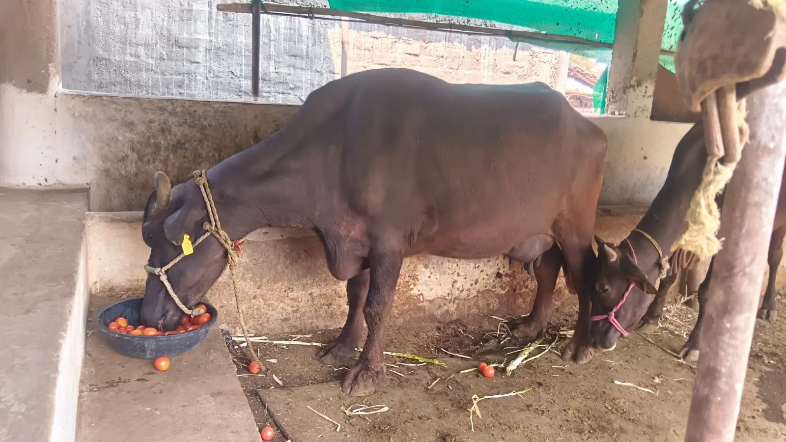 /img/89/1774026478737