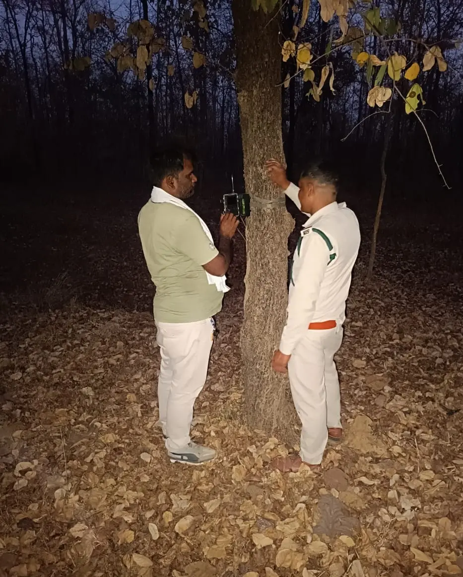 /img/89/1774367841334