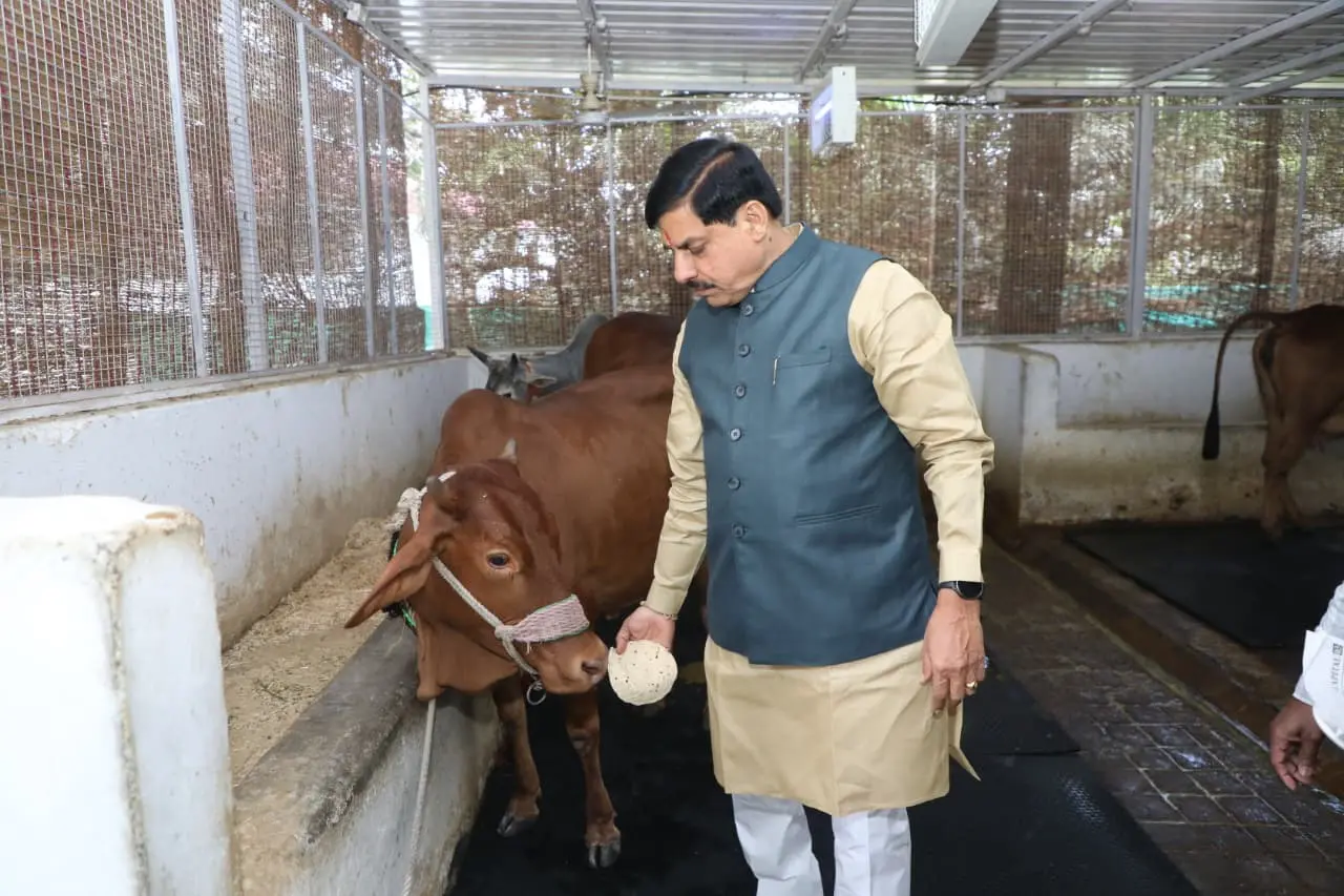 /img/89/1774450628427