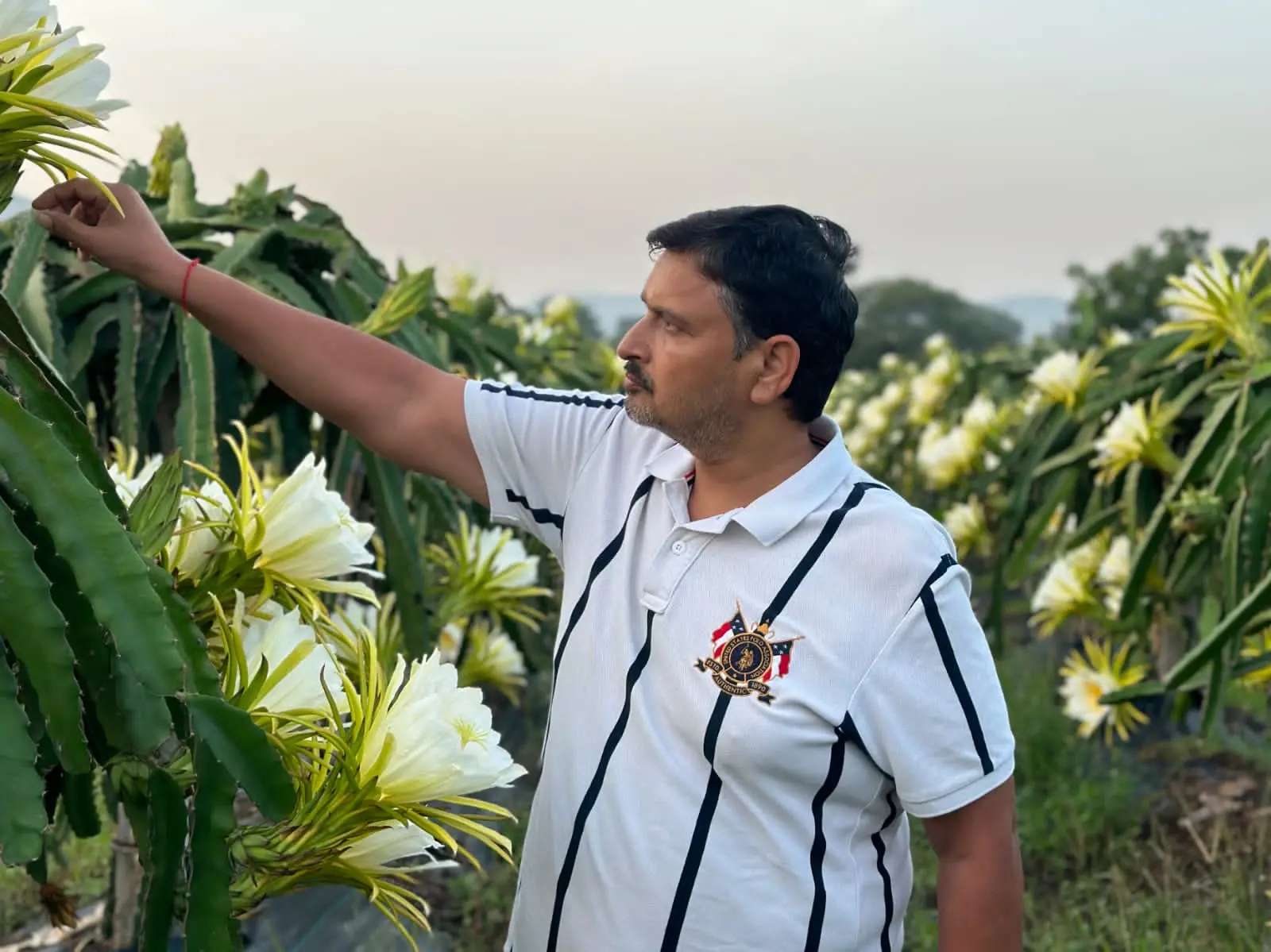 /img/89/1775314716229