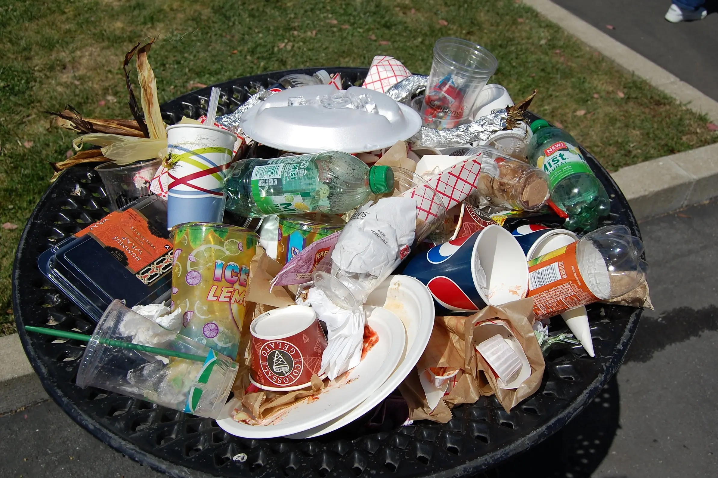 शहरों से हर साल निकल रहा 2 लाख मीट्रिक टन सिंगल यूज प्लास्टिक कचरा