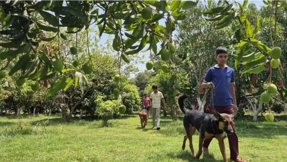 /img/89/1776694171059