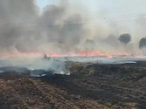 /img/89/1776868503241