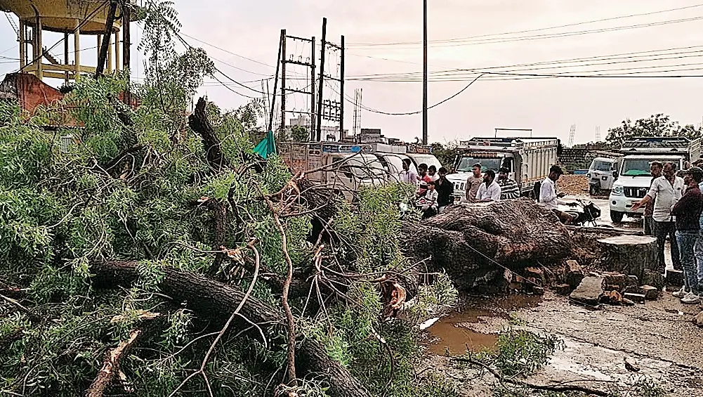 तेज आंधी-बारिश से पेड़ गिरा, बेटे की मौत, मां-बेटी घायल