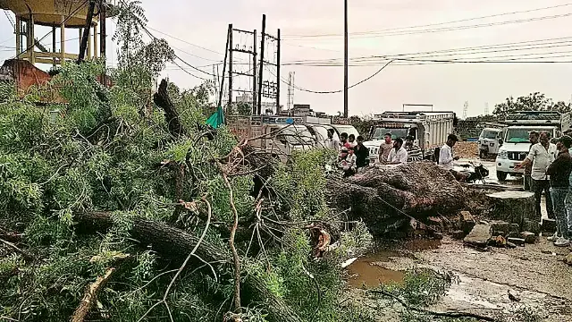 तेज आंधी-बारिश से पेड़ गिरा, बेटे की मौत, मां-बेटी घायल