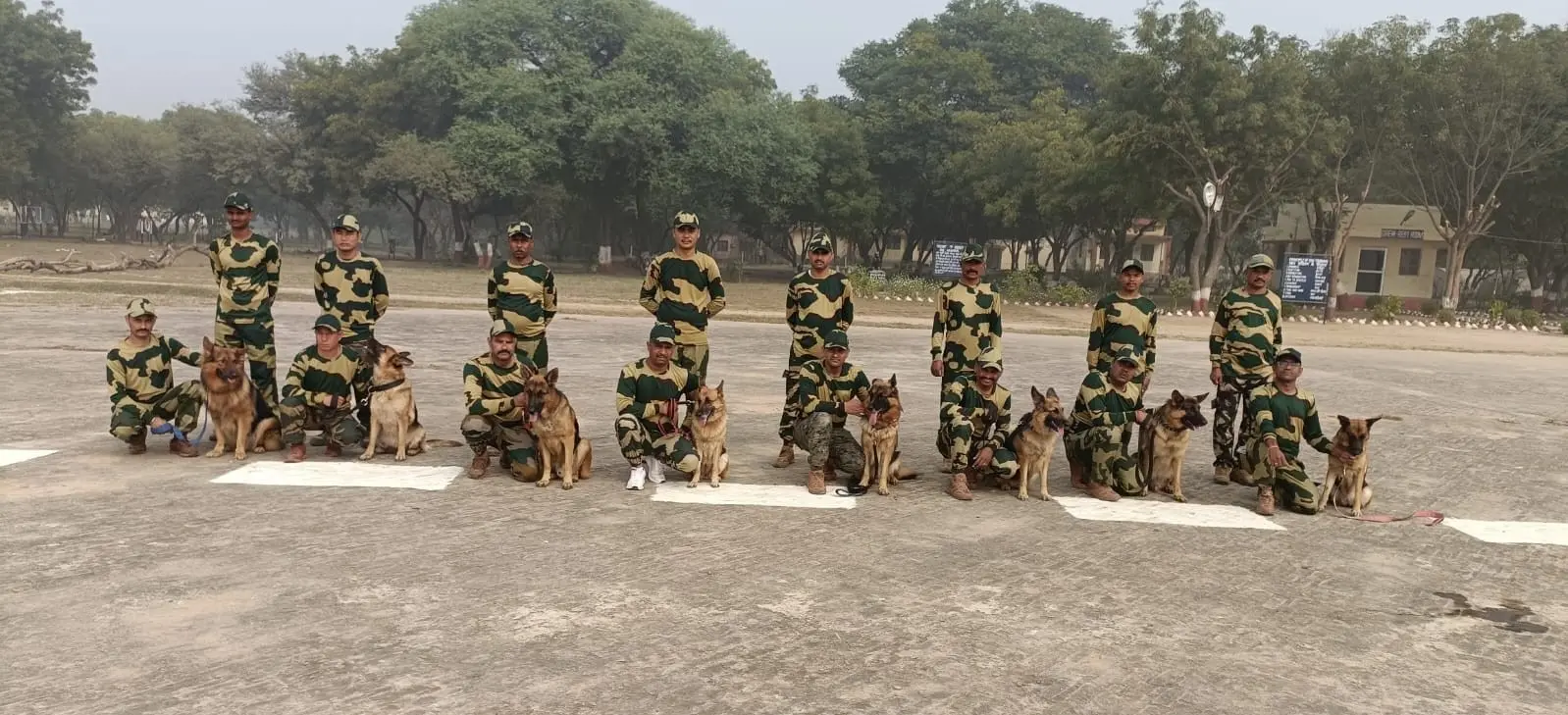 बाघों के घर में अब स्निफर डॉग और टीम के लिए जासूसी की लगेगी पाठशाला