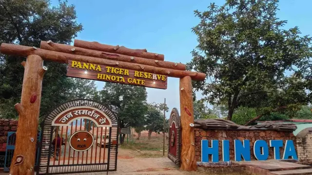 पन्ना टाइगर रिजर्व में छह कॉटेज और कई निर्माण, जांच रिपोर्ट में बड़ा खुलासा
